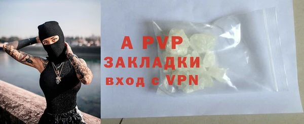 СК Волоколамск