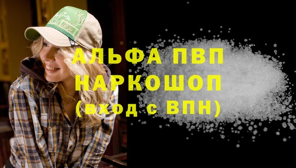 СК Волоколамск
