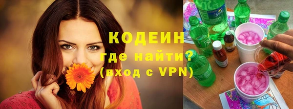 твердый Бородино