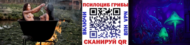 Галлюциногенные грибы мицелий  хочу   Волгореченск 
