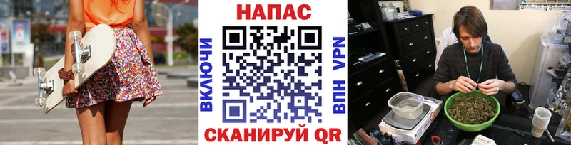 Бошки Шишки конопля  купить наркоту  Волгореченск 